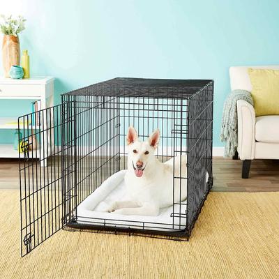 Show full view: Frisco Heavy Duty Fold & Carry Single Door Collapsible Wire Dog Crate, 48 inch & Frisco Quilted Dog Crate Mat, Ivory, 48-in slide 3 of 6