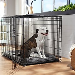 Frisco Heavy Duty Fold & Carry Single Door Collapsible Wire Dog Crate, Large