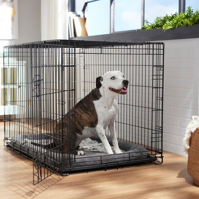 Frisco Frisco Heavy Duty Fold & Carry Single Door Collapsible Wire Dog Crate, Large