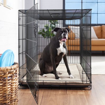 Frisco Frisco Heavy Duty Fold & Carry Single Door Collapsible Wire Dog Crate, X-Large