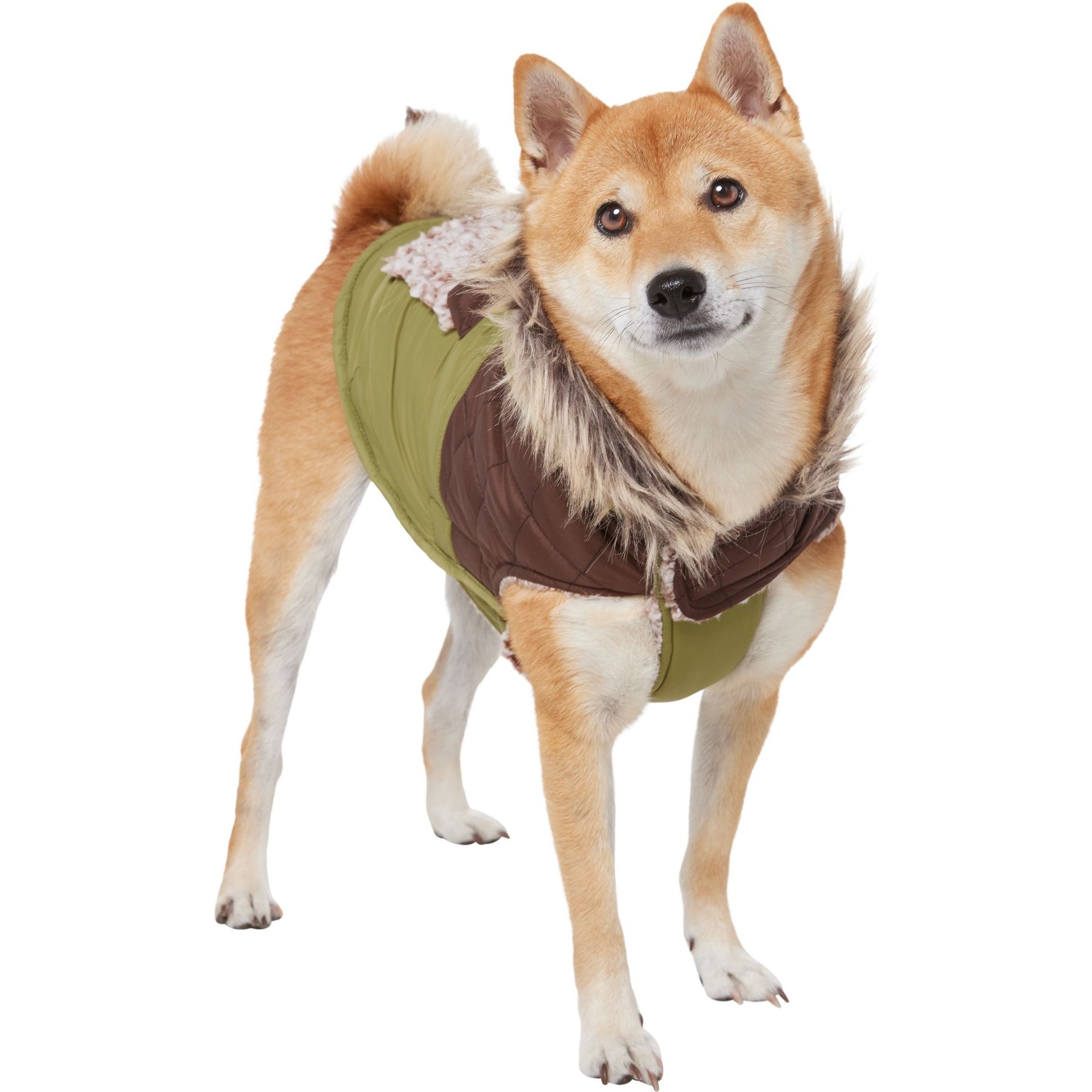 Frisco Heavy Weight 2-Tone Sherpa Lined Hybrid Quilted Dog & Cat Parka, Medium