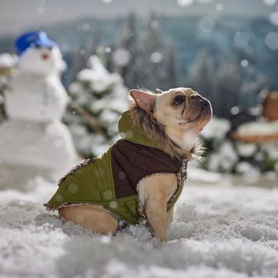 Show full view: Frisco Heavy Weight 2-Tone Sherpa Lined Hybrid Quilted Dog & Cat Parka, Medium slide 8 of 10