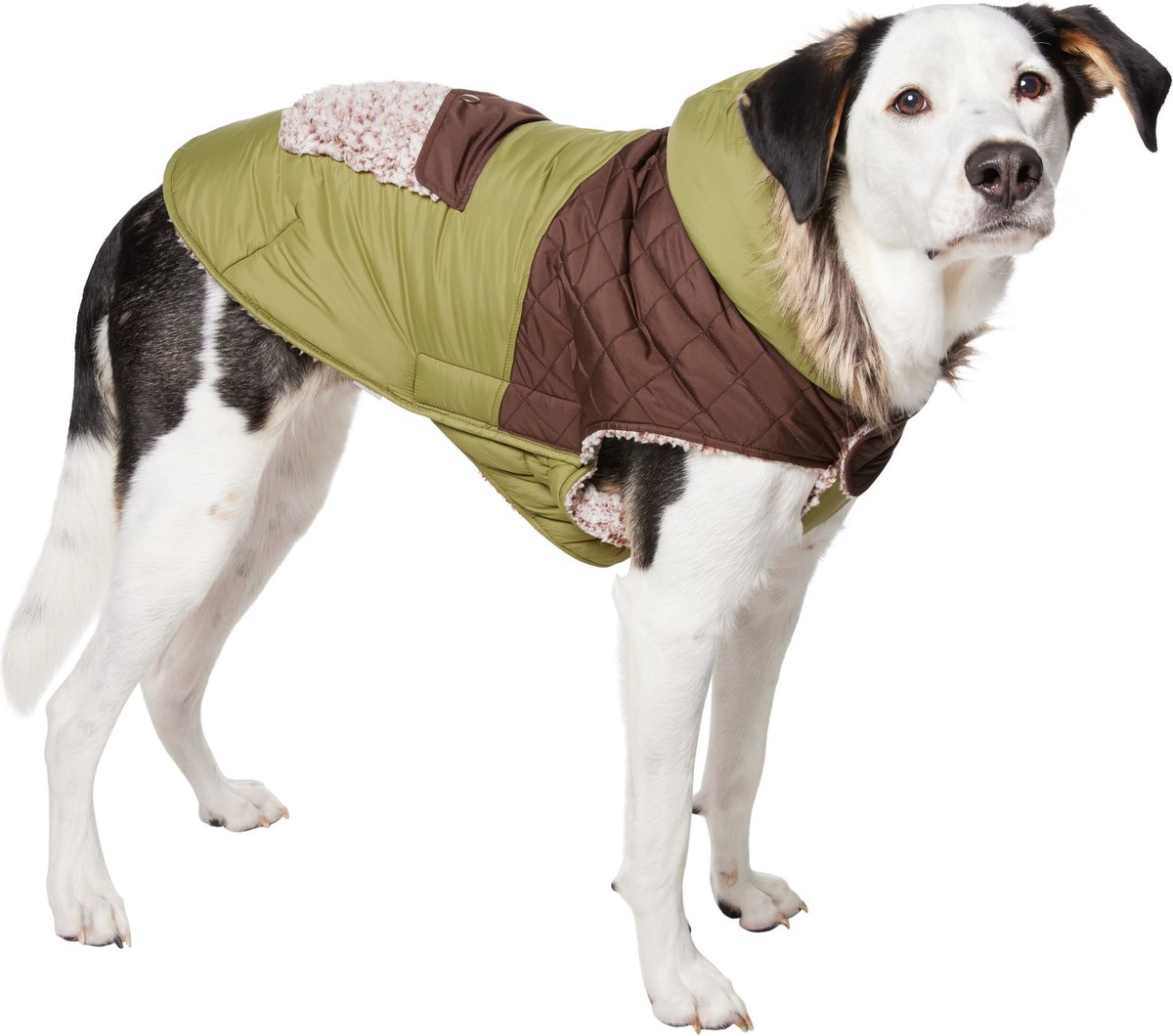 Frisco Heavy Weight 2-Tone Sherpa Lined Hybrid Quilted Dog & Cat Parka