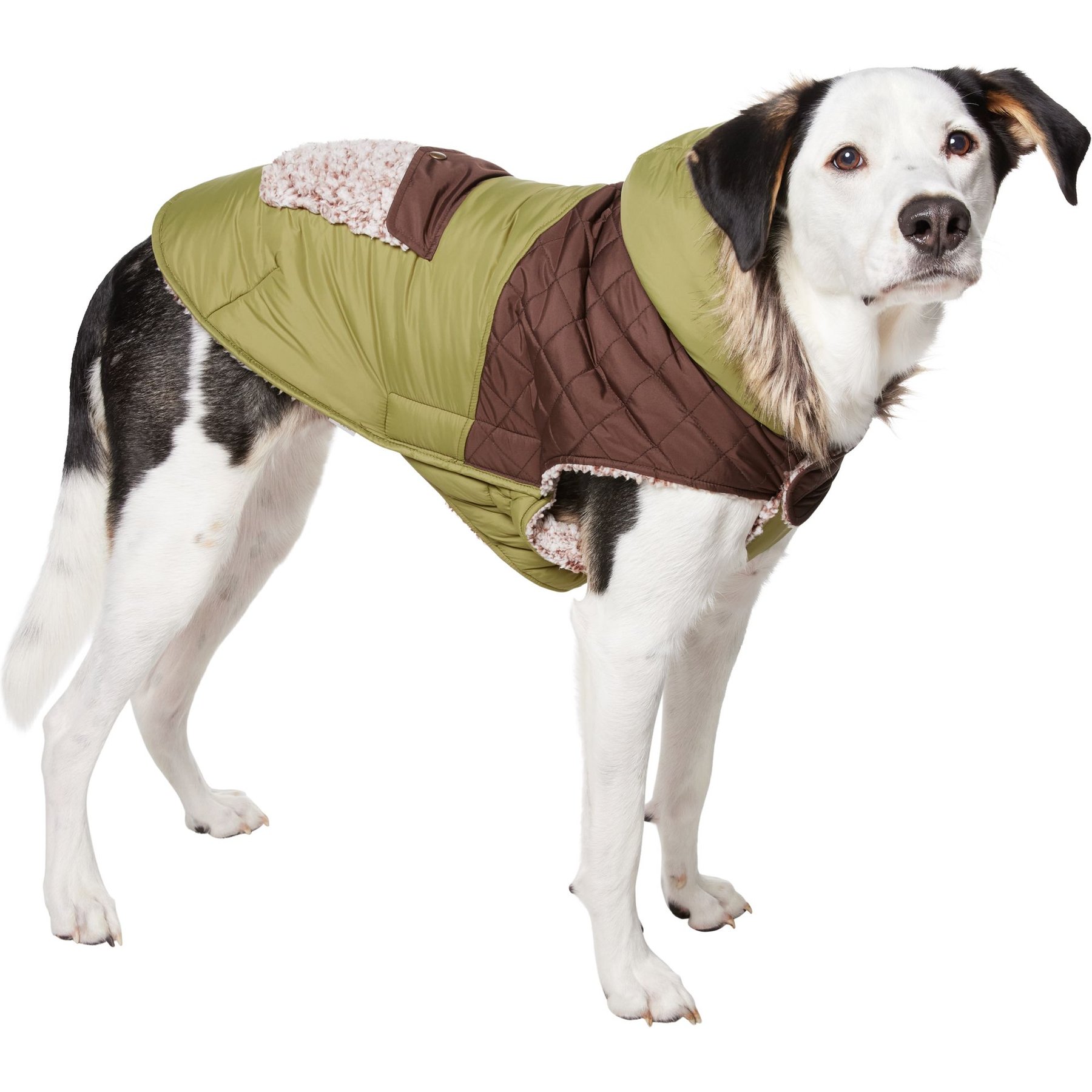 Frisco Heavy Weight 2-Tone Sherpa Lined Hybrid Quilted Dog & Cat Parka, XX-Large