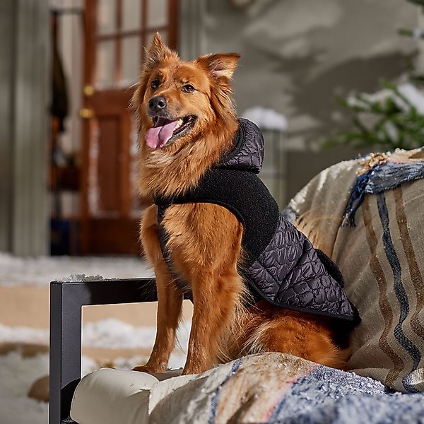 Frisco Heavy Weight Dog & Cat Quilted Hybrid Coat with Sherpa Lining