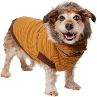 Frisco Heavy Weight Lux Corduroy Insulated Dog & Cat Coat with Fur Trimmed Hood, Large slide 1 of 8