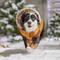 Show in main carousel: Frisco Heavy Weight Lux Corduroy Insulated Dog & Cat Coat with Fur Trimmed Hood, XX-Large slide 8 of 10
