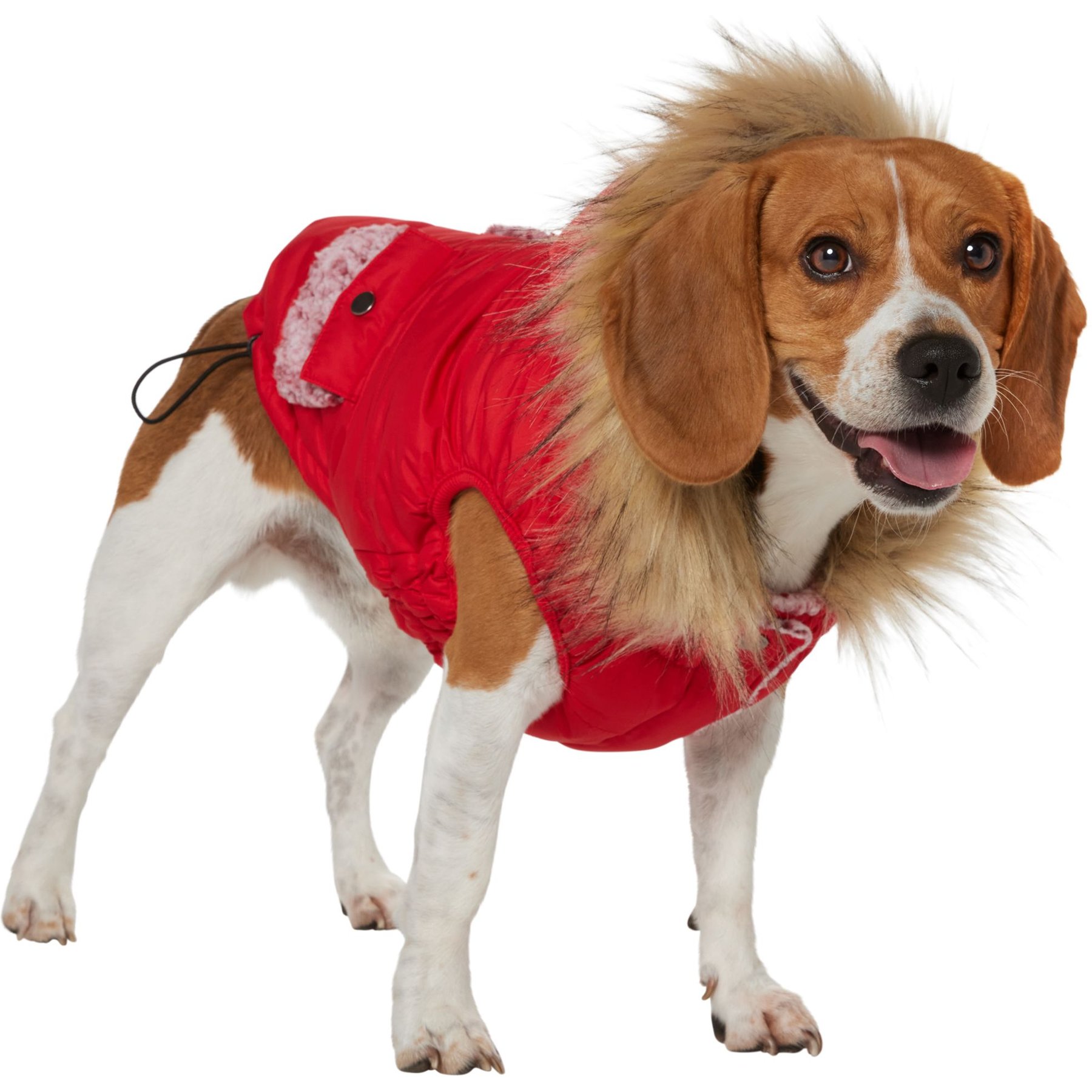Frisco Heavy Weight Matte Quilted Dog & Cat Parka with Cozy Fleece Lining, Red, Large