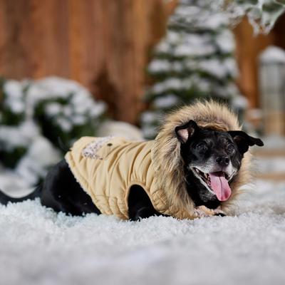 Show full view: Frisco Heavy Weight Matte Quilted Dog & Cat Parka with Cozy Fleece Lining, Tan, Large slide 8 of 10