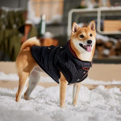 Show full view: Frisco Heavy Weight Matte Quilted Volume Dog & Cat Puffer, Black, Medium slide 8 of 10