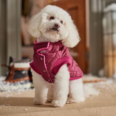 Show full view: Frisco Heavy Weight Matte Quilted Volume Dog & Cat Puffer, Burgundy, Small slide 8 of 10