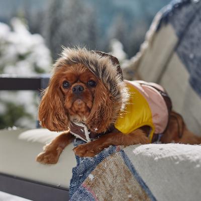 Show full view: Frisco Heavy Weight Urban City Colorblock Dog & Cat Parka with Sherpa Lining, Brown, Medium slide 8 of 10