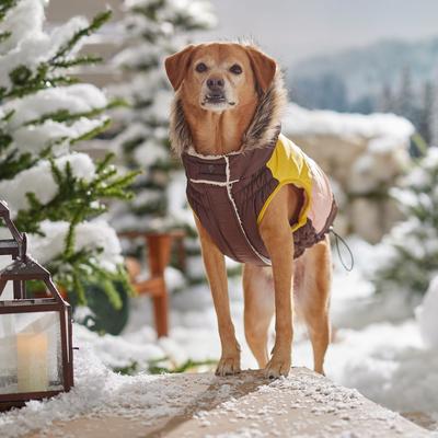 Show full view: Frisco Heavy Weight Urban City Colorblock Dog & Cat Parka with Sherpa Lining, Brown, X-Large slide 7 of 9