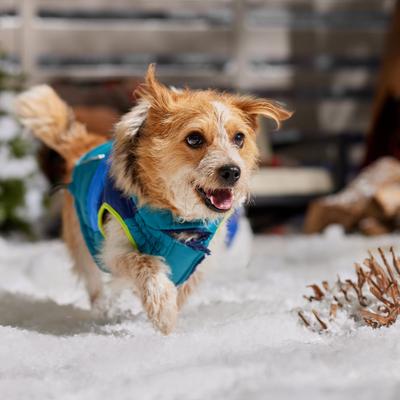 Show full view: Frisco Heavy Weight Urban City Colorblock Dog & Cat Parka with Sherpa Lining, Green, Large slide 7 of 9