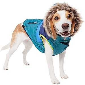Frisco Heavy Weight Urban City Colorblock Dog & Cat Parka with Sherpa Lining, Green, Medium