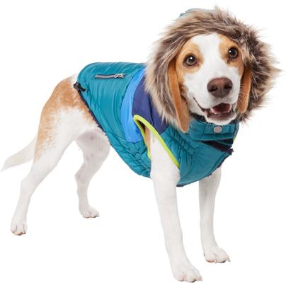 Show full view: Frisco Heavy Weight Urban City Colorblock Dog & Cat Parka with Sherpa Lining, Green, Medium slide 1 of 10