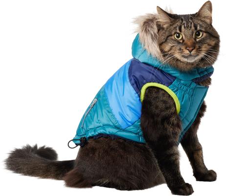 Show full view: Frisco Heavy Weight Urban City Colorblock Dog & Cat Parka with Sherpa Lining, Green, Small slide 1 of 9