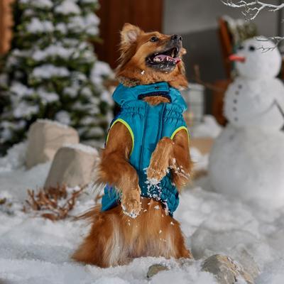 Show full view: Frisco Heavy Weight Urban City Colorblock Dog & Cat Parka with Sherpa Lining, Green, X-Large slide 8 of 10