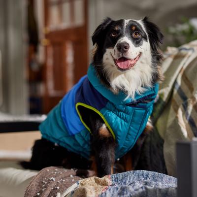 Show full view: Frisco Heavy Weight Urban City Colorblock Dog & Cat Parka with Sherpa Lining, Green, XX-Large slide 7 of 9