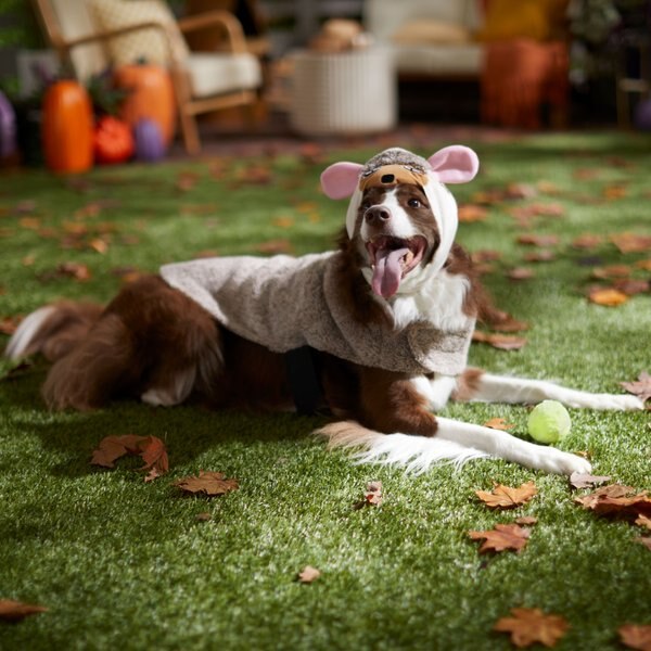 Frisco Hedgehog Dog & Cat Costume