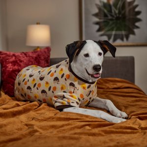 Frisco Hedgehog Dog & Cat Fleece Pajamas, XXX-Large