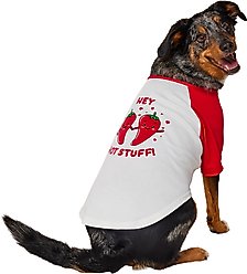 Frisco Valentine's Hey Hot Stuff Dog & Cat T-Shirt, Large