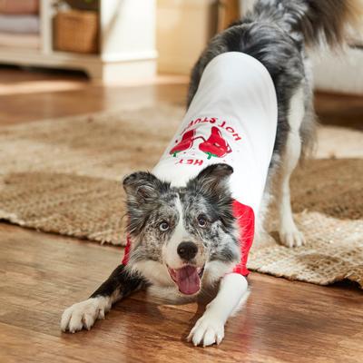 Show full view: Frisco Valentine's Hey Hot Stuff Dog & Cat T-Shirt, Large slide 7 of 9