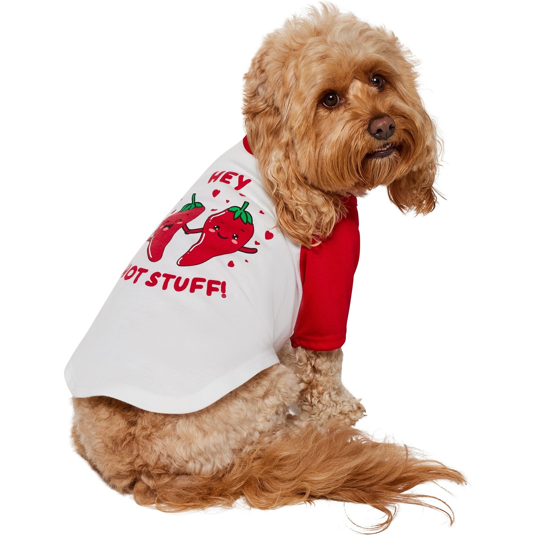 Frisco Valentine's Hey Hot Stuff Dog & Cat T-Shirt, Medium