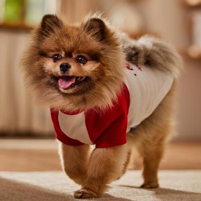 Show full view: Frisco Valentine's Hey Hot Stuff Dog & Cat T-Shirt, Small slide 7 of 9