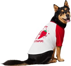 Frisco Valentine's Hey Hot Stuff Dog & Cat T-Shirt, X-Large