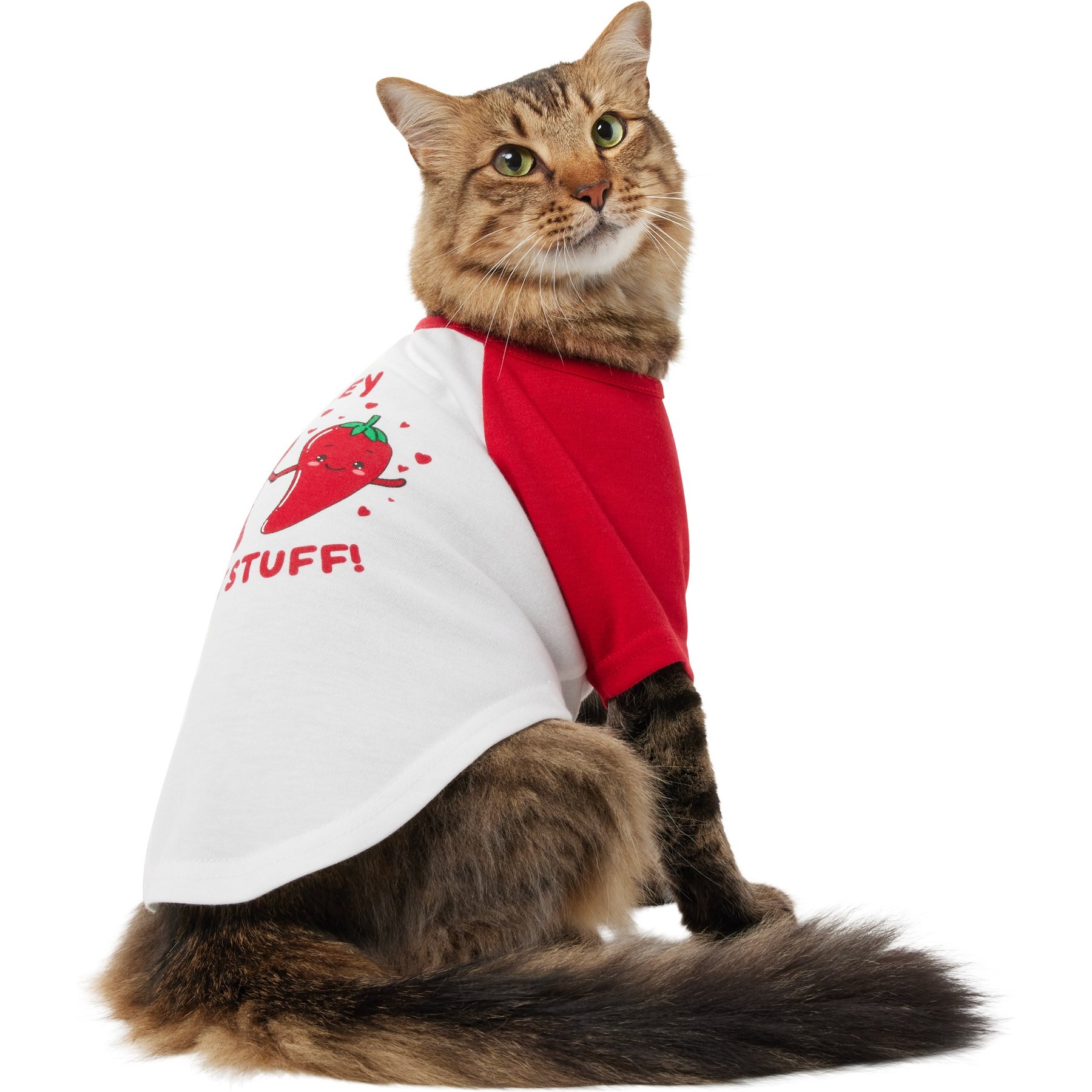 Frisco Hey Hot Stuff Dog & Cat T-Shirt, X-Small