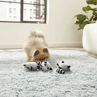 Show full view: Frisco Hide & Seek Plush Trash Can Puzzle Dog Toy & Frisco Hide & Seek Raccoon Dog Toy Refills, 3-pack slide 5 of 6