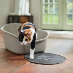 Frisco High Back Cat Litter Box, Extra Large, Gray, 23-in