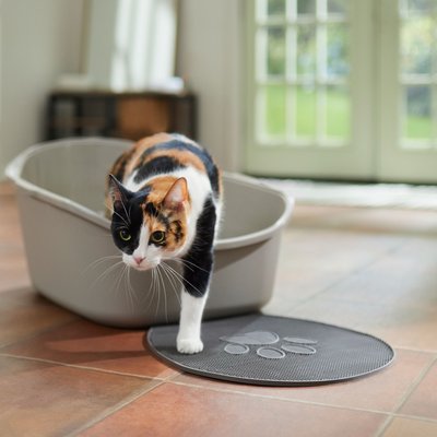 Frisco Frisco High Back Cat Litter Box, Extra Large, Gray, 23-in