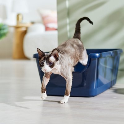 Frisco Frisco High Sided Cat Litter Box, Extra Large, Navy, 24-in