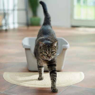 Frisco Frisco High Sided Cat Litter Box, Medium, Gray, 18-in