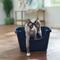 Show in main carousel: Frisco High Sided Cat Litter Box, Medium, Navy, 18-in slide 1 of 5