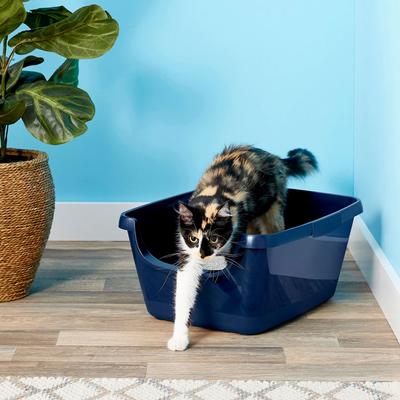 Show full view: Frisco High Sided Litter Box + Small Animal Bedding, Nautral slide 3 of 8