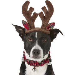 Frisco Holiday Antler Headband & Bell Collar Dog & Cat Costume, Medium/Large