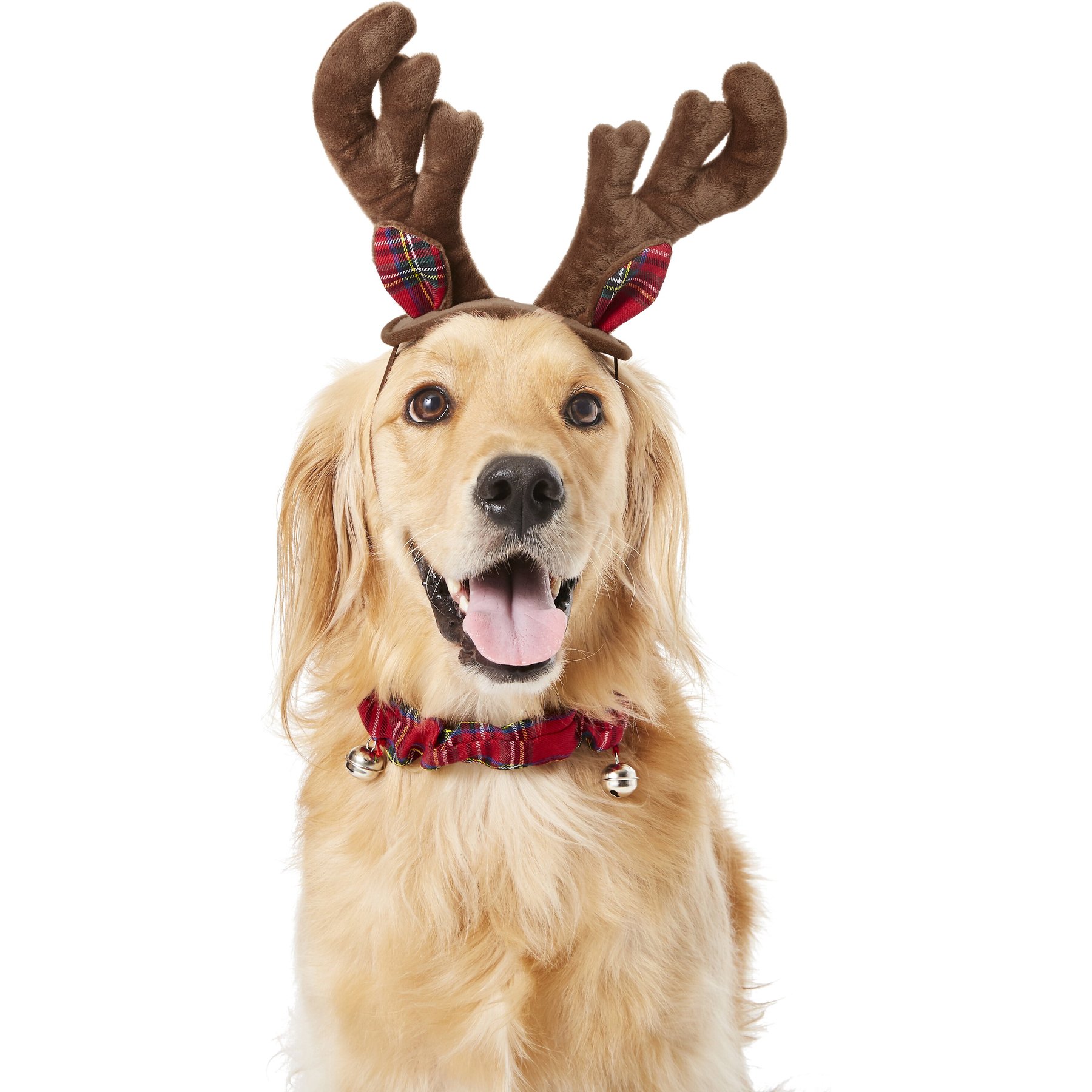 Frisco Christmas Antler Headband & Bell Collar Dog & Cat Costume, X-Large/XX-Large