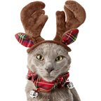 Frisco Christmas Antler Headband & Bell Collar Dog & Cat Costume, X-Small/Small