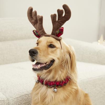 Show full view: Frisco Christmas Antler Headband & Bell Collar Dog & Cat Costume, X-Small/Small slide 4 of 7
