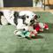Show in main carousel: Frisco Holiday Bad Santa & Elf Plush Squeaky Dog Toy, 2 count slide 3 of 4