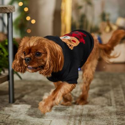 Show full view: Frisco Christmas Bears Flip Sequin Dog & Cat Hoodie, Medium slide 8 of 11