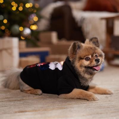 Show full view: Frisco Christmas Bears Flip Sequin Dog & Cat Hoodie, Small slide 7 of 10