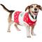 Show in main carousel: Frisco Christmas Cheer Dog & Cat Sweater, Medium slide 1 of 11