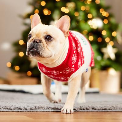 Show full view: Frisco Christmas Cheer Dog & Cat Sweater, Medium slide 7 of 11