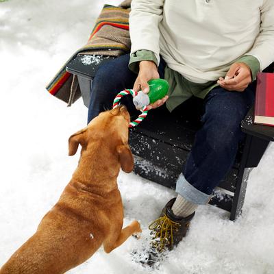 Show full view: Frisco Holiday Christmas Light Rope with TPR Squeaky Dog Toy, Medium slide 3 of 7