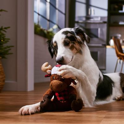 Show full view: Frisco Holiday Cozy Moose Plush Squeaky Dog Toy, Medium slide 4 of 9