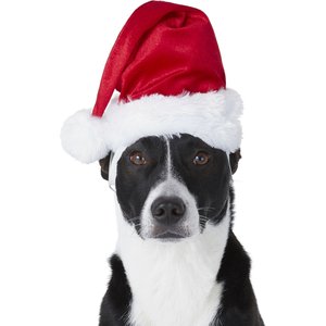 Frisco Christmas Dog & Cat Santa Hat, 1 count, X-Small/Small